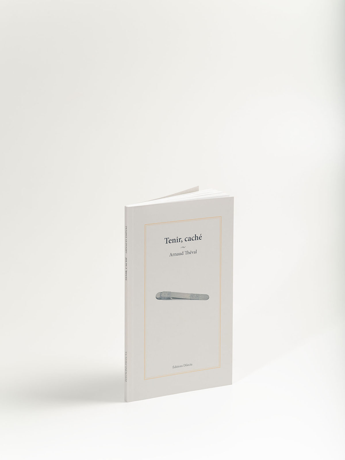 Arnaud Théval Tenir, caché (2015), Éditions Dilecta. © Christophe Pit.