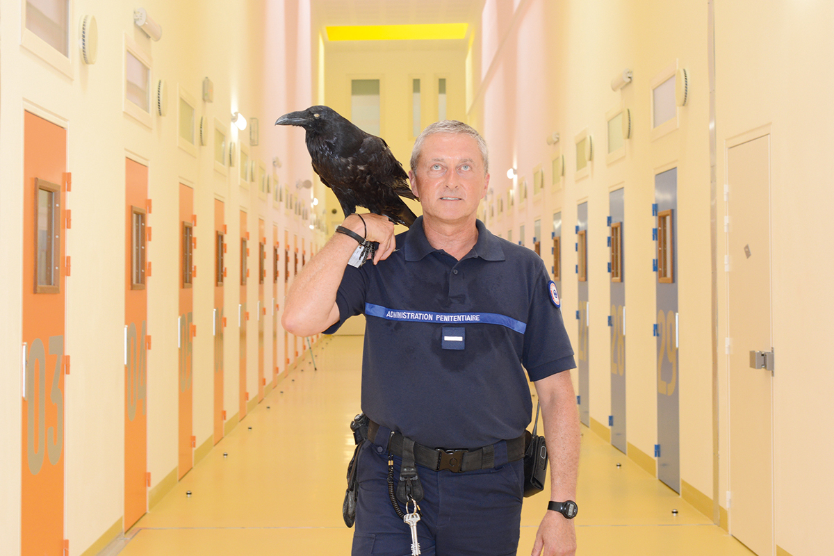 ARNAUD THEVAL LA PRISON ENFORESTÉE (2020)