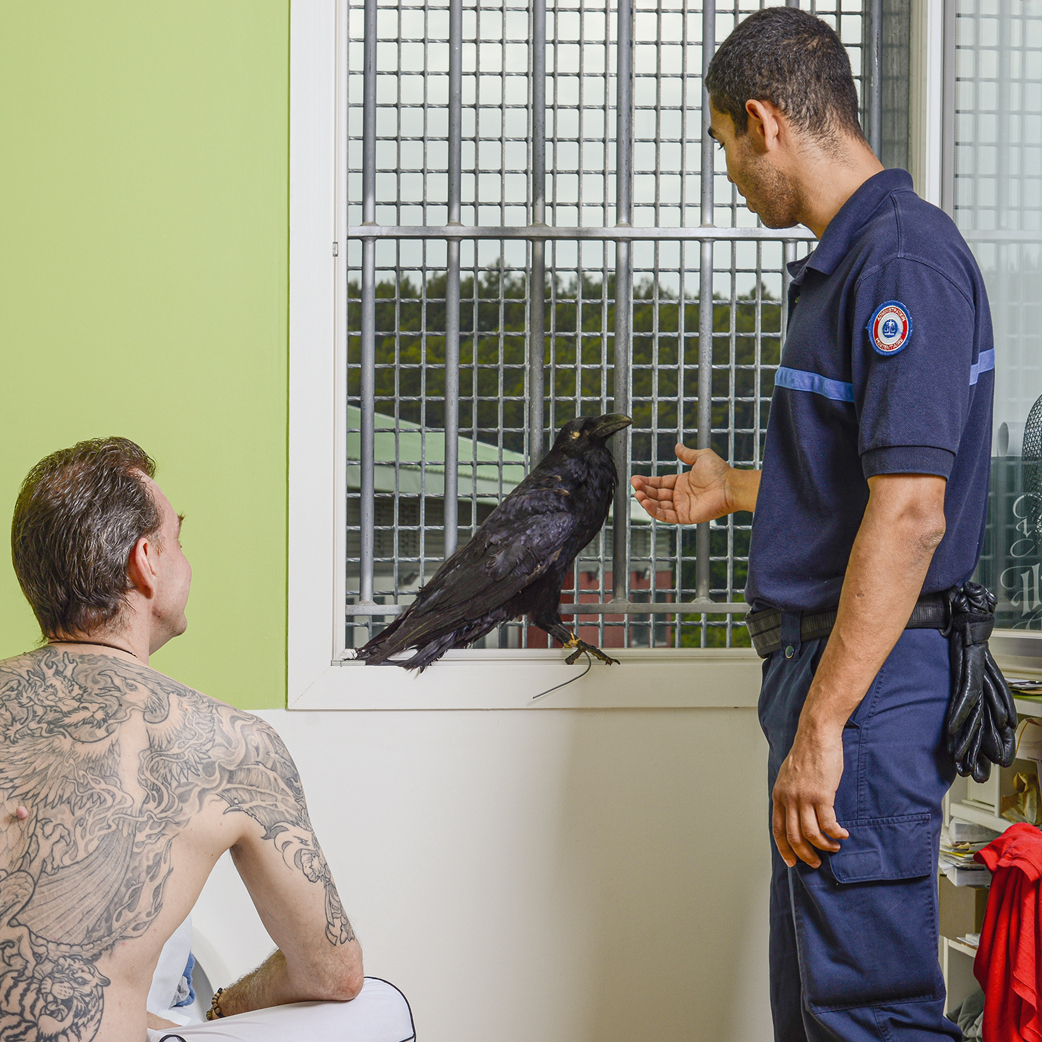 Arnaud Théval Soudain, entre les murs, l'animal 2021