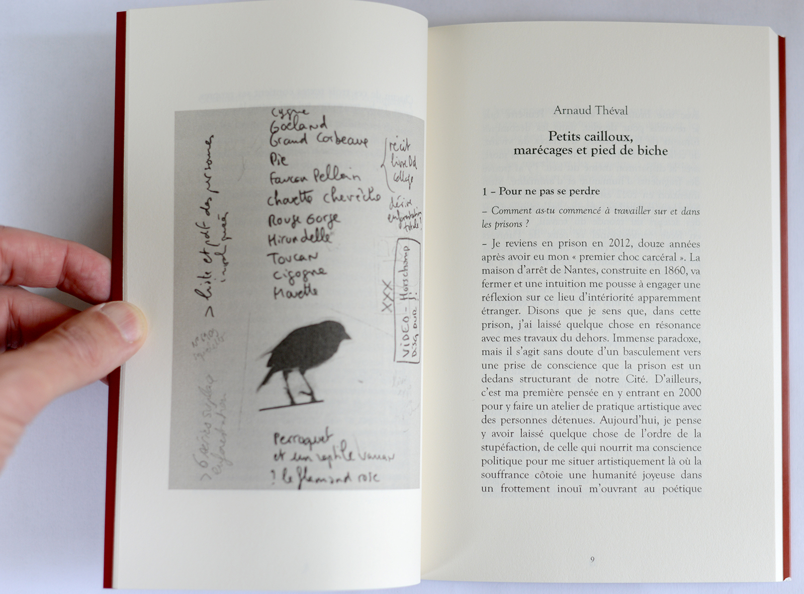Arnaud Théval "Petits cailloux,marécages et pied de biche" (2024) éditions Naufragés Éphémères, Lyon.