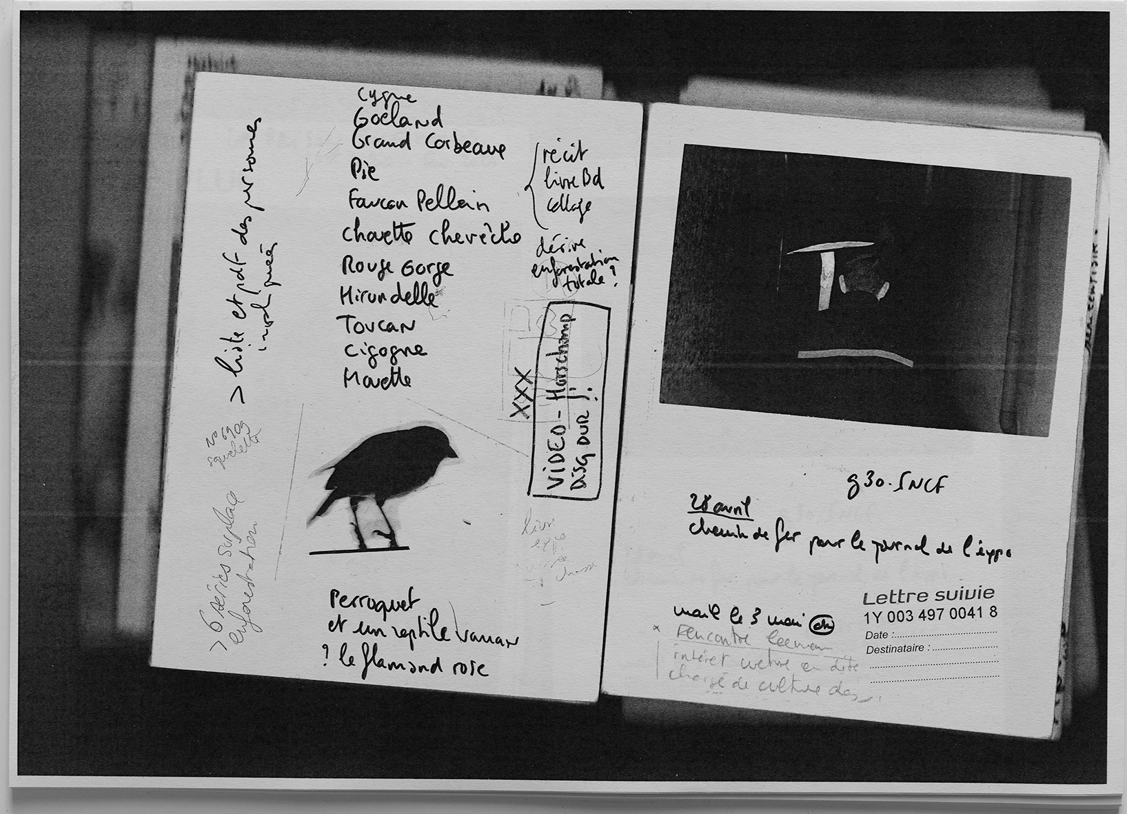 Arnaud Théval "Petits cailloux,marécages et pied de biche" (2024) éditions Naufragés Éphémères, Lyon.
