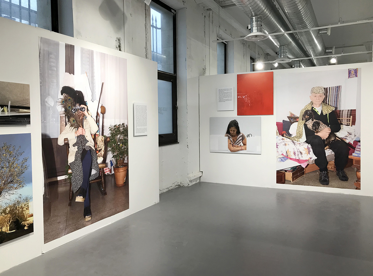 La cage aux oiseaux (trompe la mort !) 2018. Installation format variable (photos, affiches, lettres, maquette et vidéo). Centre Photographique Marseille.