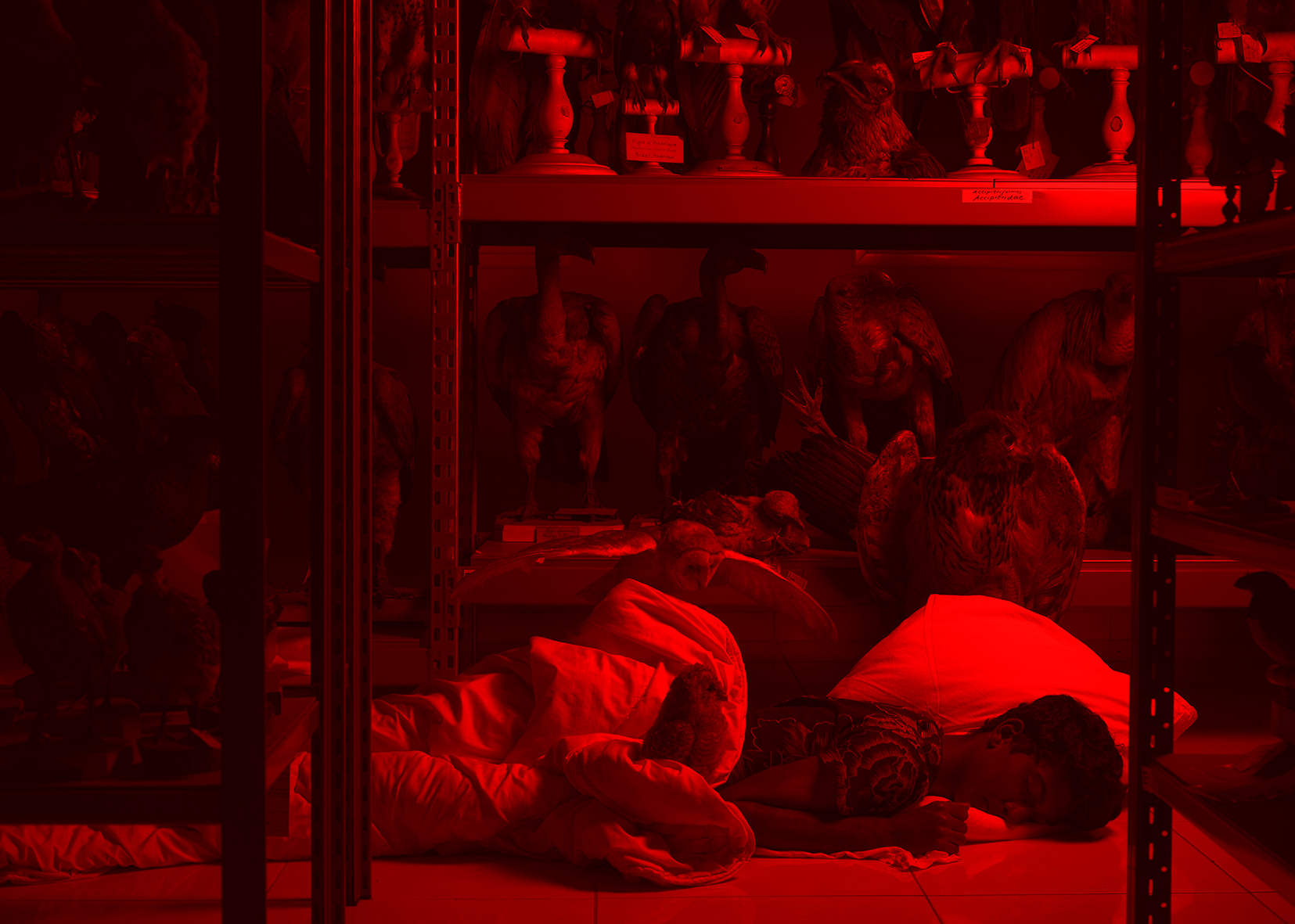 Arnaud Théval, le chant des réserves (2019)