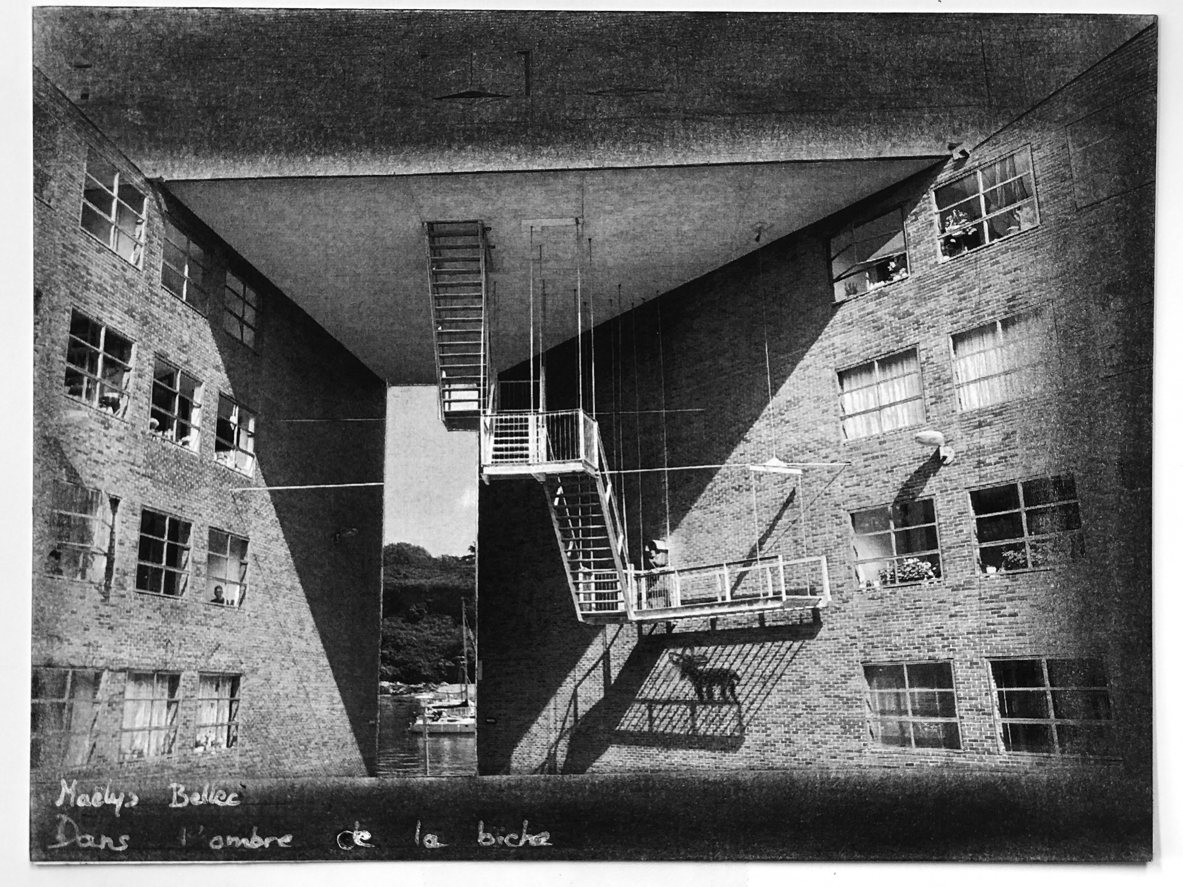 «&nbsp;Voyez-vous l'animal tapi dans l'ombre de nos villes&nbsp;?&nbsp;» Theval esnapBx