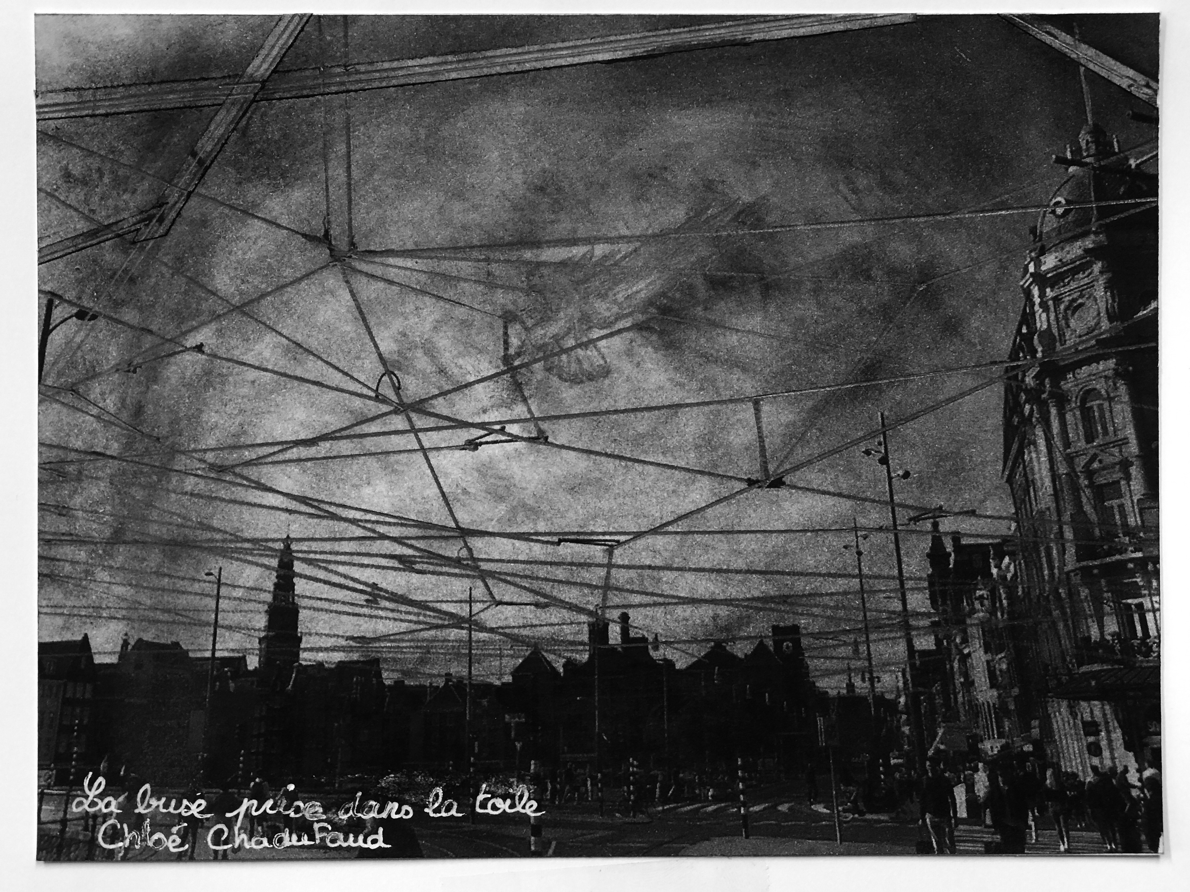 AAA&nbsp;« Voyez-vous l'animal tapi dans l'ombre de nos villes ? » (2021), ensap Bordeaux.