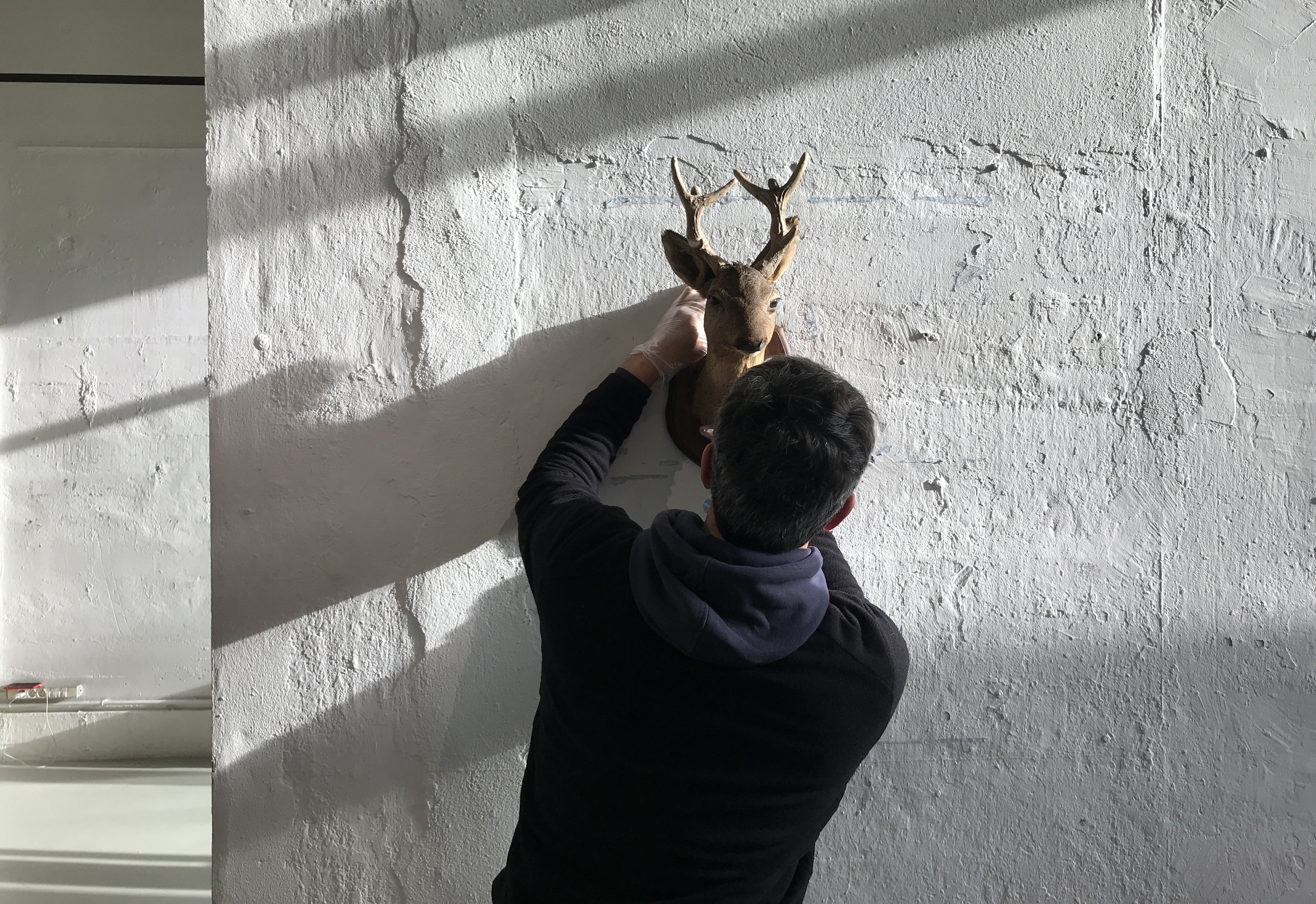 AAA "Entendez-vous l'oiseau" exposition au 308, maison de l'architecture, Bordeaux.