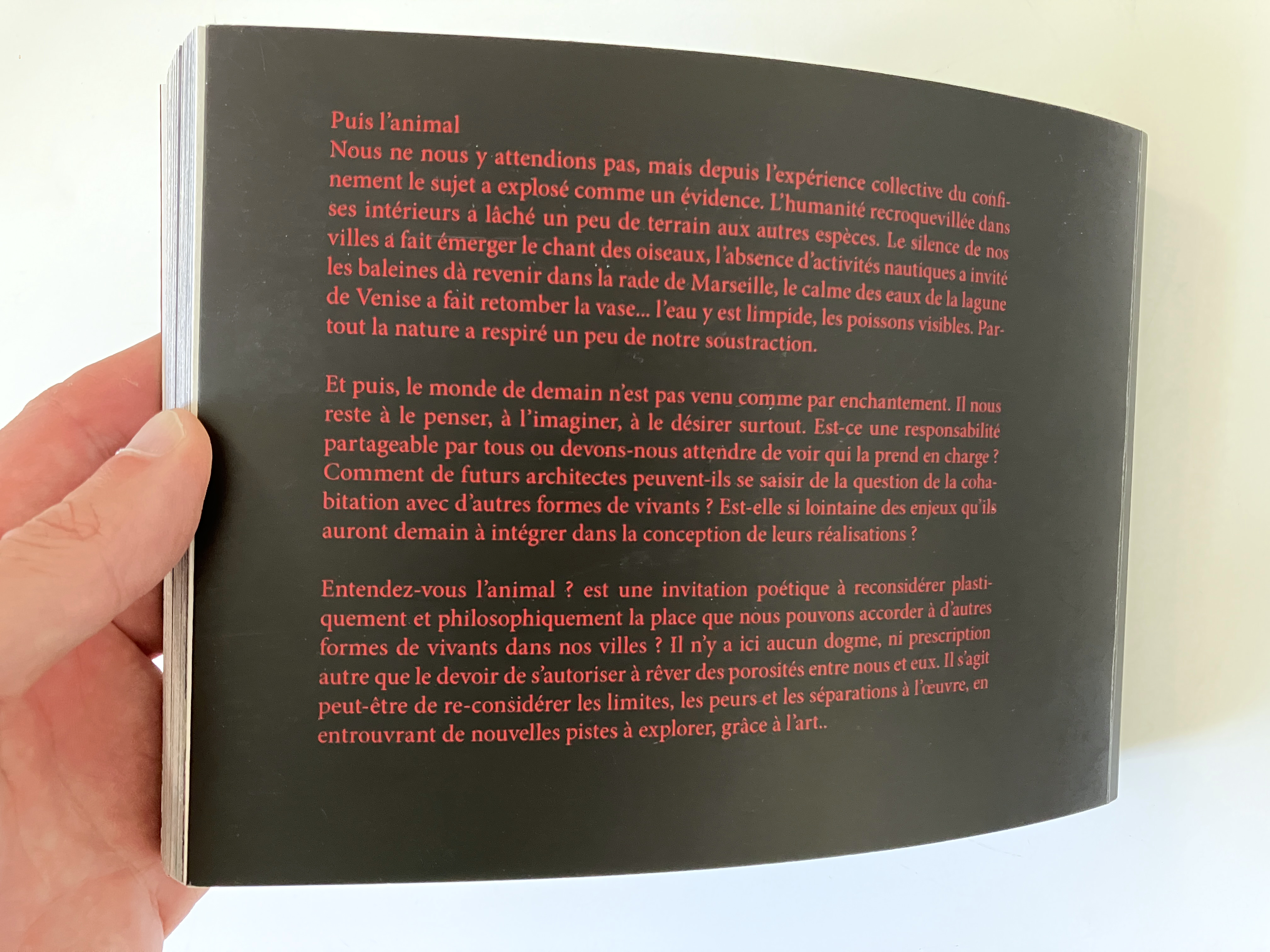 AAA "Entendez-vous l'oiseau" (2021), livre format 15 x 21 cm, 376 pages, couleur. Ensap Bordeaux