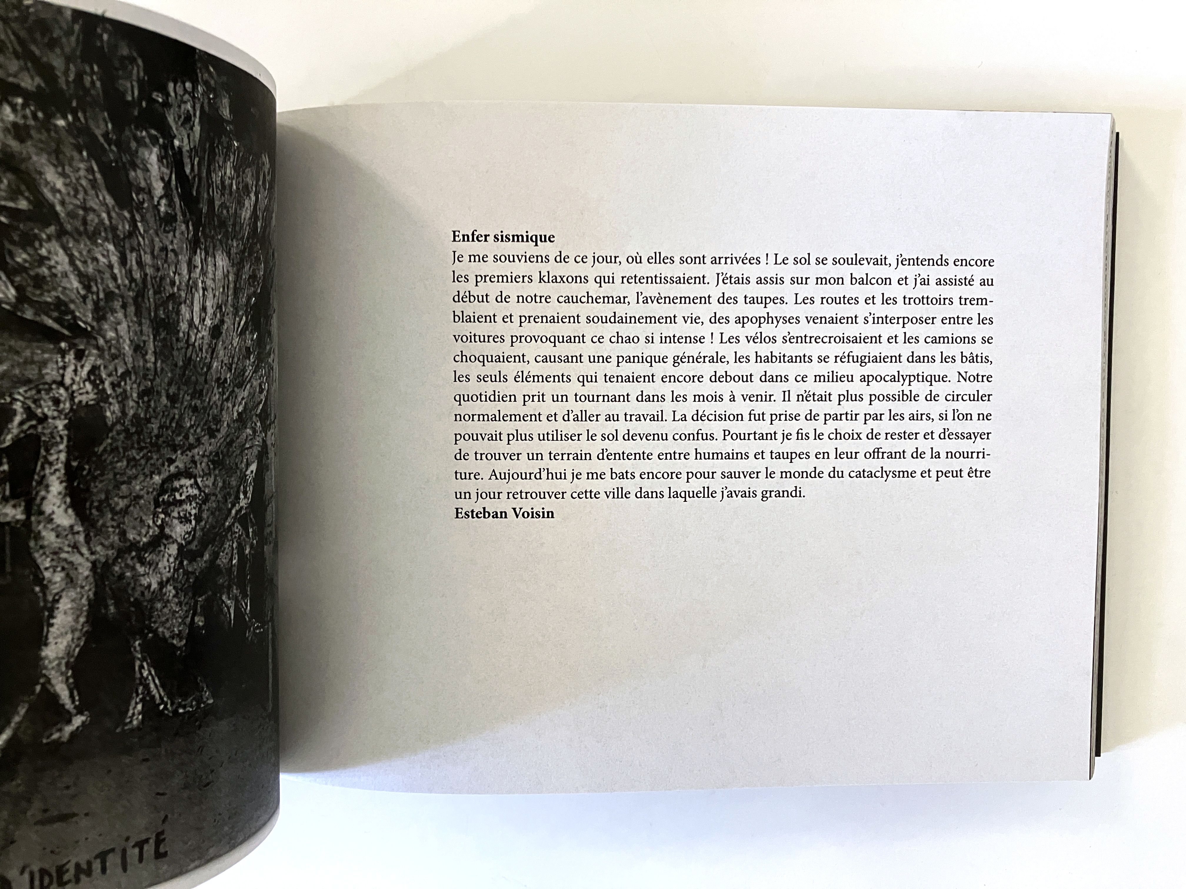 AAA "Entendez-vous l'oiseau" (2021), livre format 15 x 21 cm, 376 pages, couleur. Ensap Bordeaux