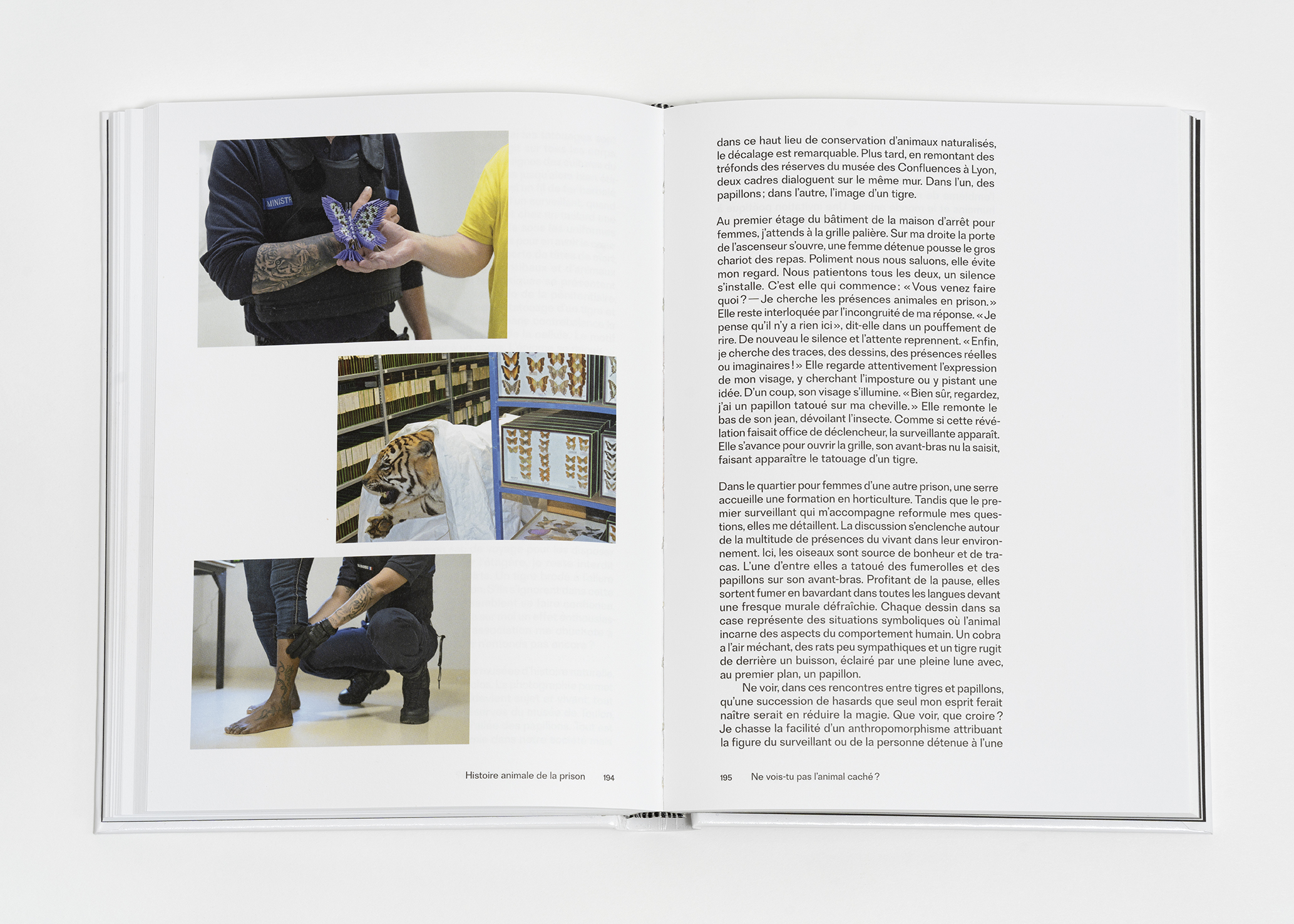 © Arnaud Théval &quot;histoire animale de la prison&quot;(2025) Courtesy Dilecta. Photo : Nicolas Brasseur.