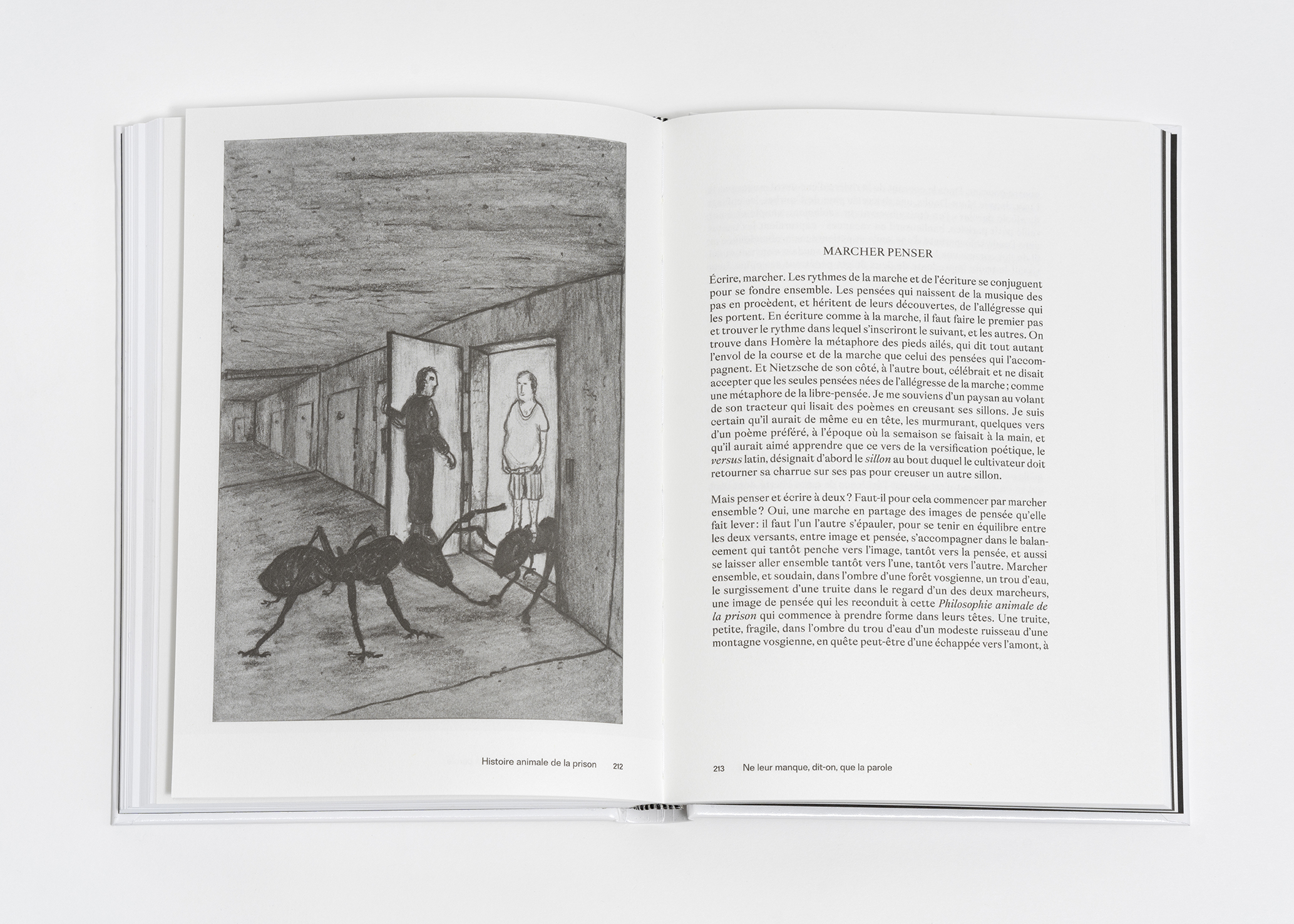 © Arnaud Théval &quot;histoire animale de la prison&quot;(2025) Courtesy Dilecta. Photo : Nicolas Brasseur.