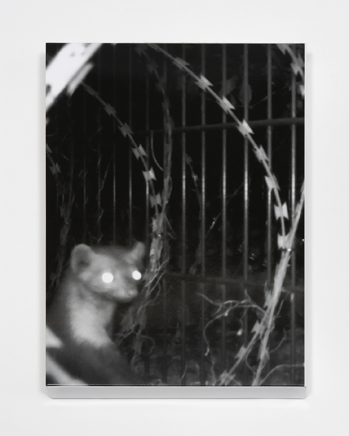 © Arnaud Théval &quot;Histoire animale de la prison&quot; Courtesy Dilecta. Photo : Nicolas Brasseur.