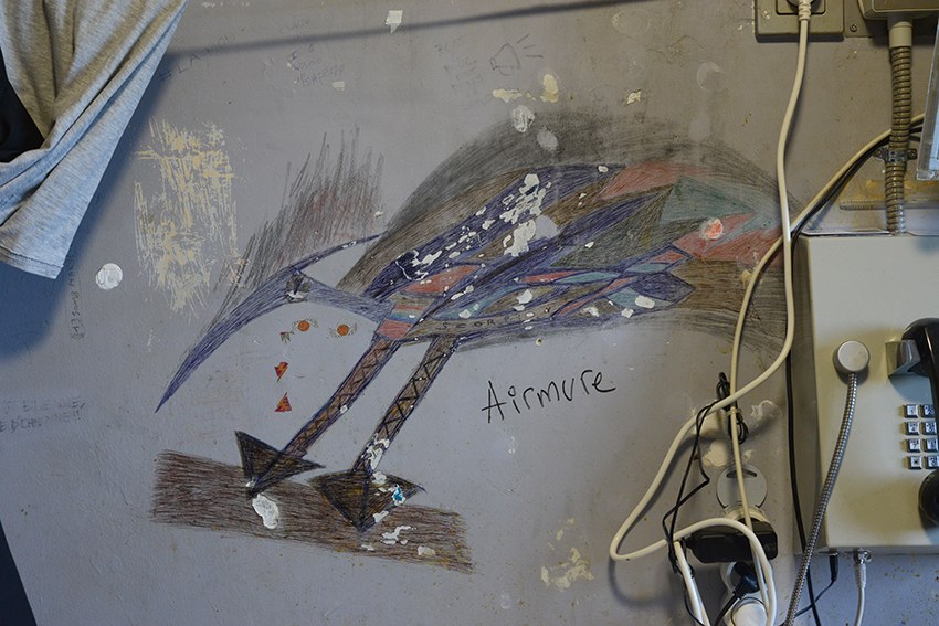 Arnaud Théval "Histoire animale de la prison" (2021-2025)