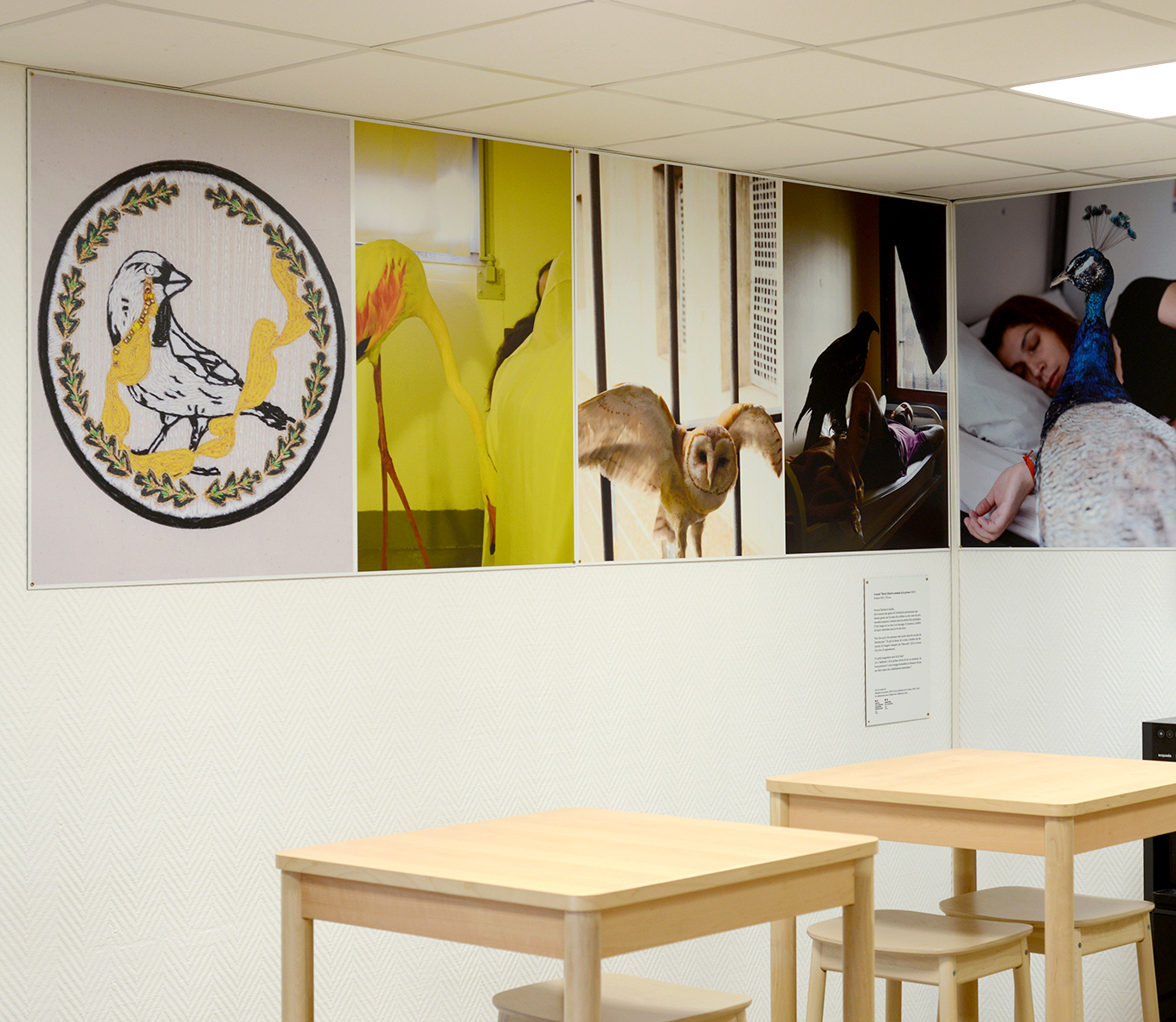 Centre de formation de la direction interrégionale des services pénitentiaires de Lyon Tirages sur dibon format 100 cm x 380 cm.