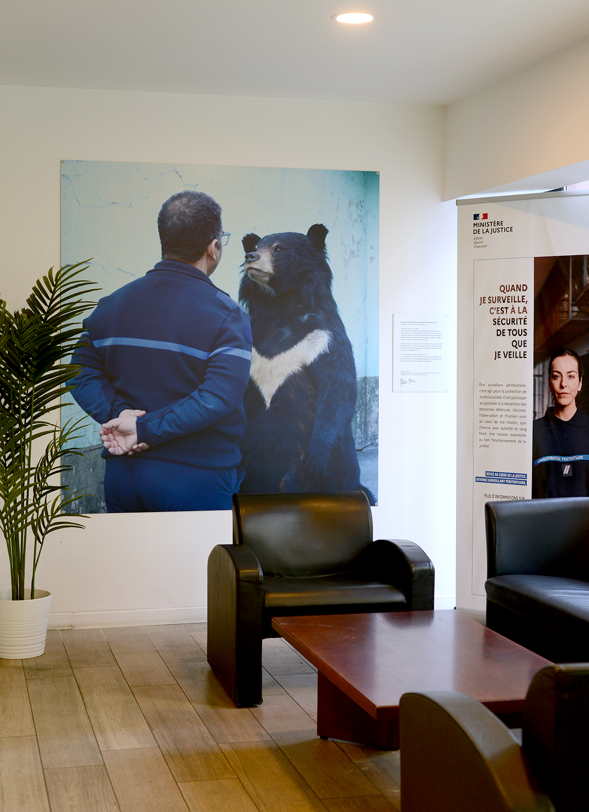 Arnaud Théval &quot;Histoire animale de la prison&quot; (2024) direction interrégionale des services pénitentiaires de Lyon. Tirage sur dibon format 160 x 170 cm.