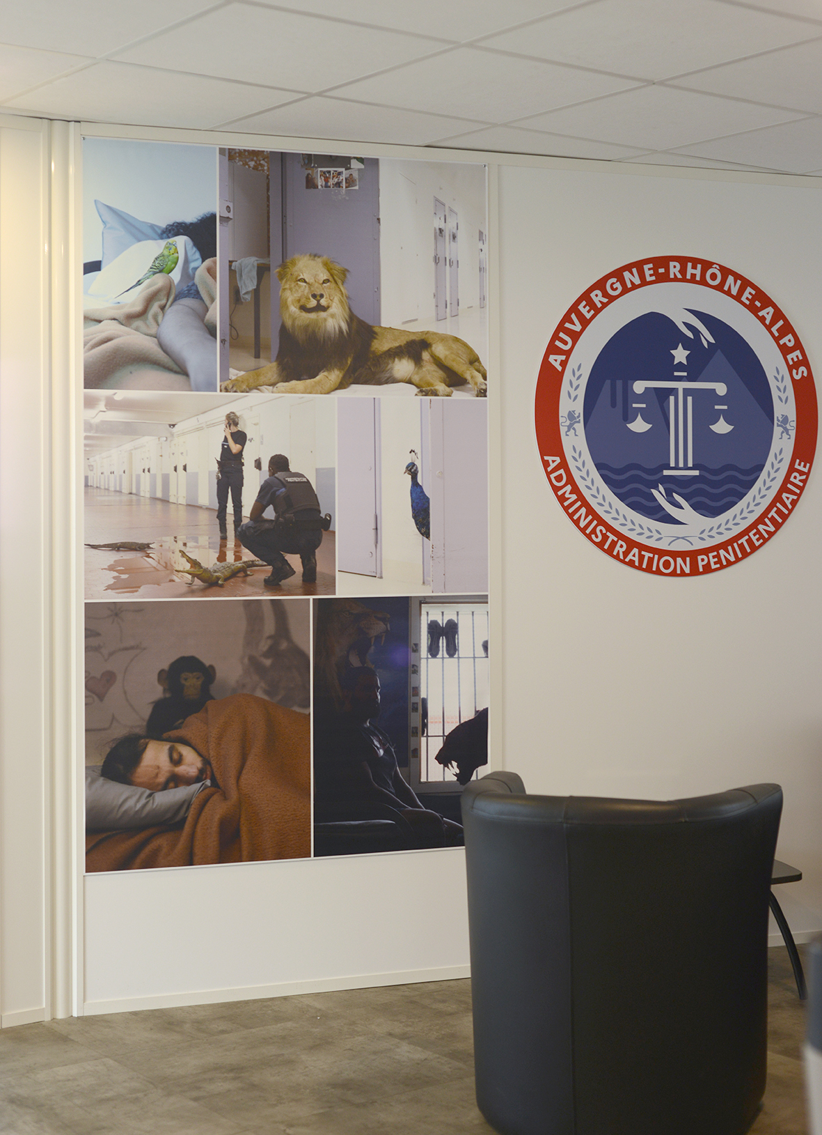Arnaud Théval &quot;Histoire animale de la prison&quot; (2024) direction interrégionale des services pénitentiaires de Lyon. Deux tirages sur jet tex format 118 x 200 cm.