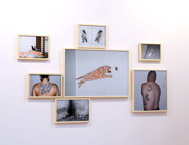 Le tigre et le papillon (2017) 37,5 x 48,5 cm (x2), 37,5 x 52,5 cm, 37,6 x 56 cm, 77,6 x 110 cm, 29,5 x 39 cm, 71 cm x 62, 5 cm, encadrés sous verre.