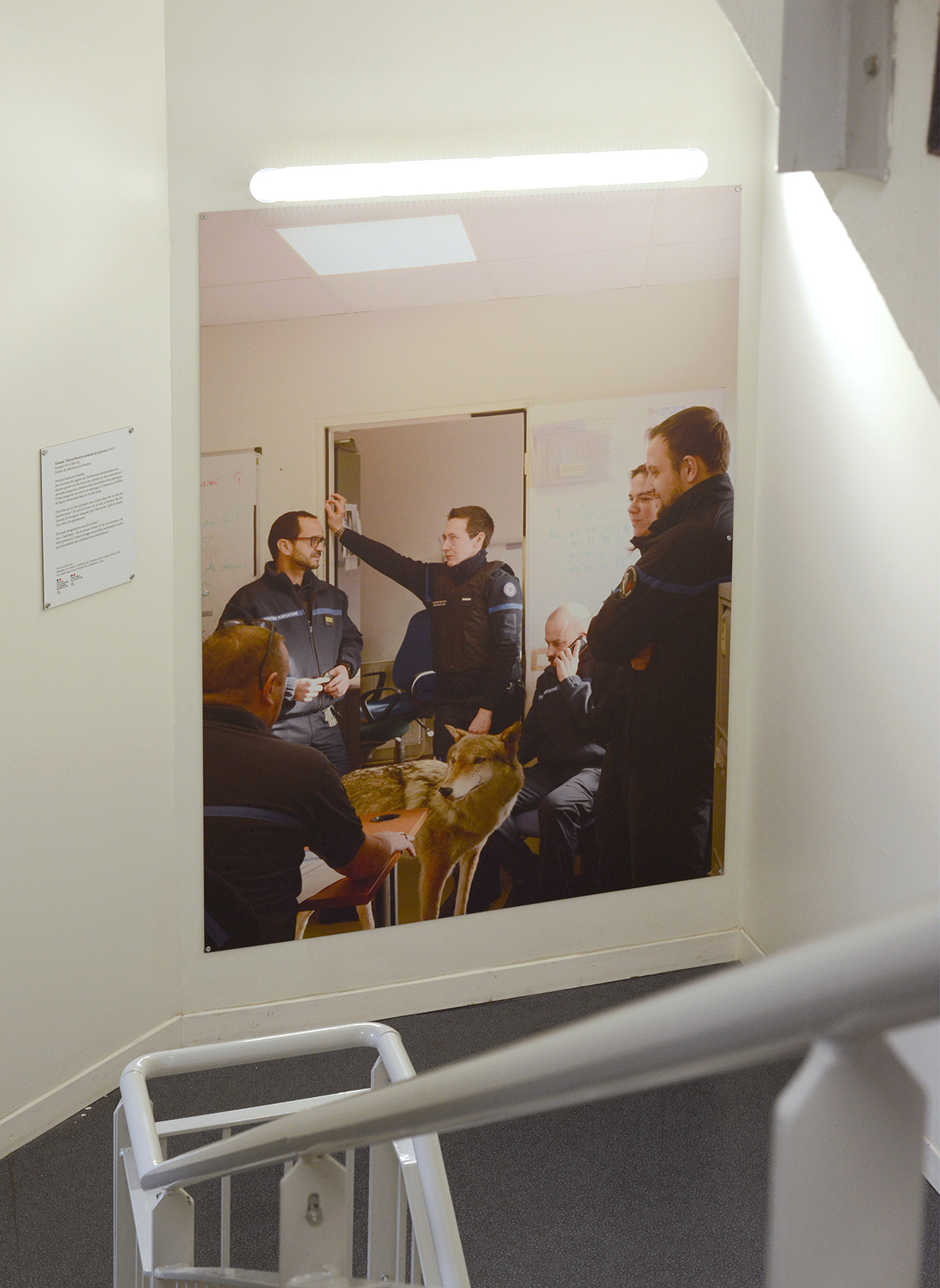 Arnaud Théval &quot;Histoire animale de la prison&quot; (2024) Centre de détention de Roanne. Tirage sur dibon format 145 x 200 cm.