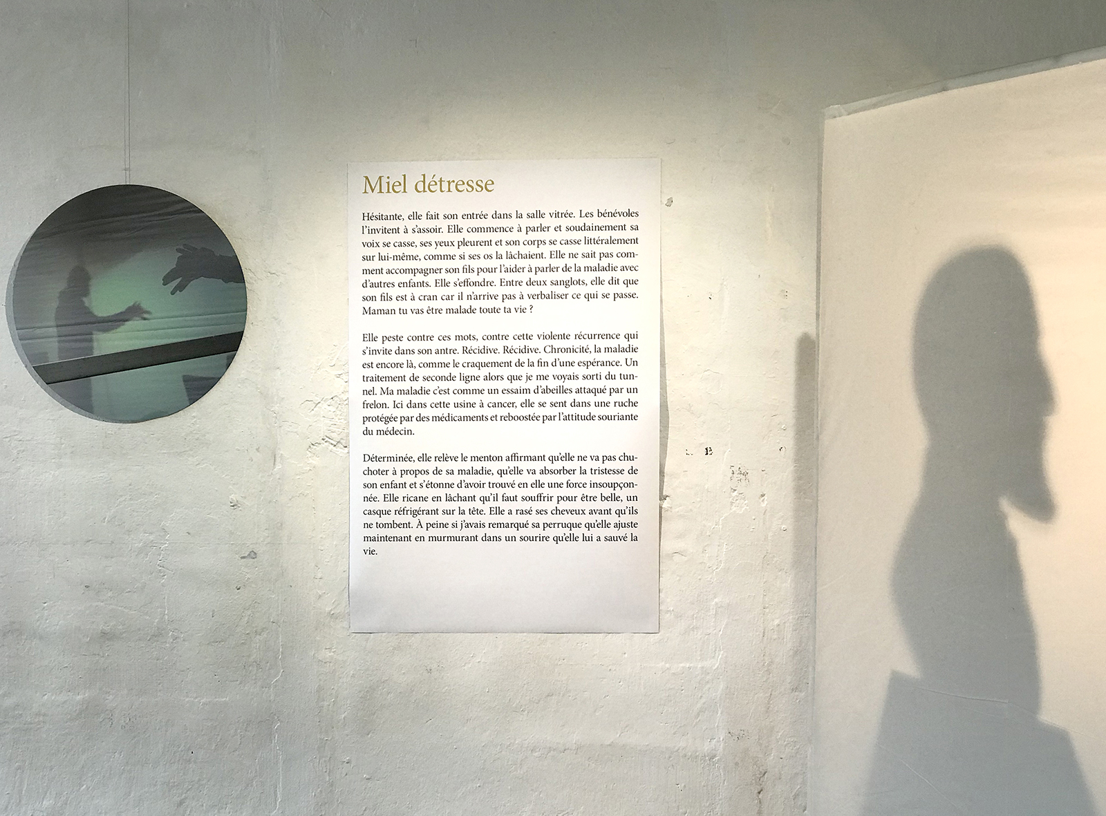 Arnaud Théval et CANCAN (2019) détail de l'exposition au 308.