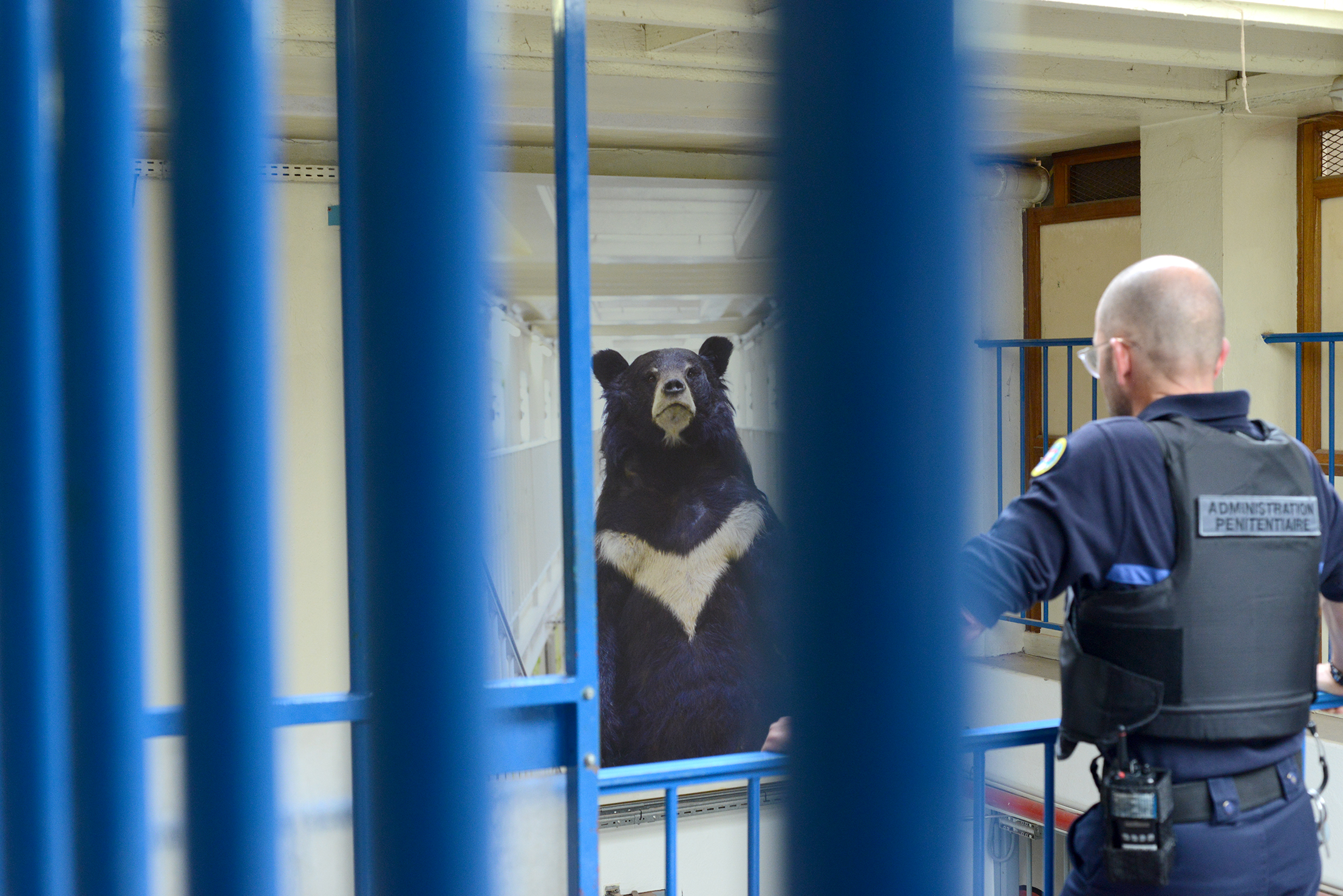 Arnaud Théval &quot;Histoire animale de la prison&quot; (2023) maison d’arrêt de Chambéry. Tirage sur dibon format 150 x 220 cm.