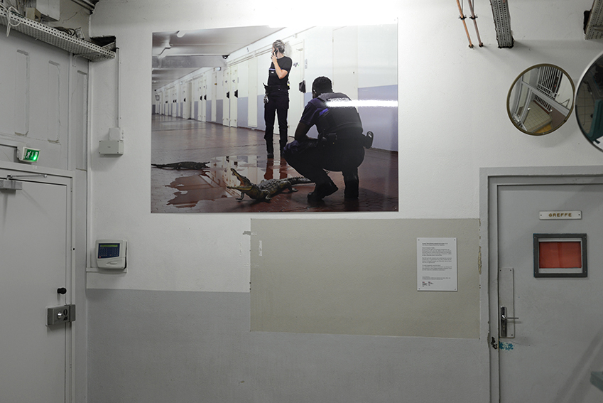 Arnaud Théval &quot;Histoire animale de la prison&quot; (2023) Maison d’arrêt de La Talaudière (Saint-Étienne) Tirage sur HD vinyle et plastification monté sur dibon format 150 x 204 cm 2023
