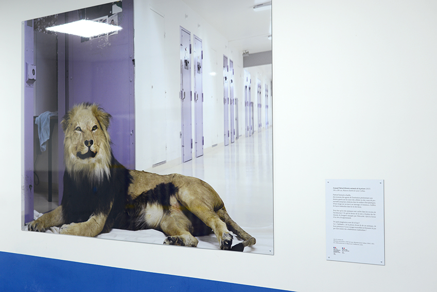 Arnaud Théval &quot;Histoire animale de la prison&quot; (2023) Maison d’arrêt de Lyon-Corbas Tirage sur HD vinyle et plastification monté sur dibon format 150 x 209 cm)