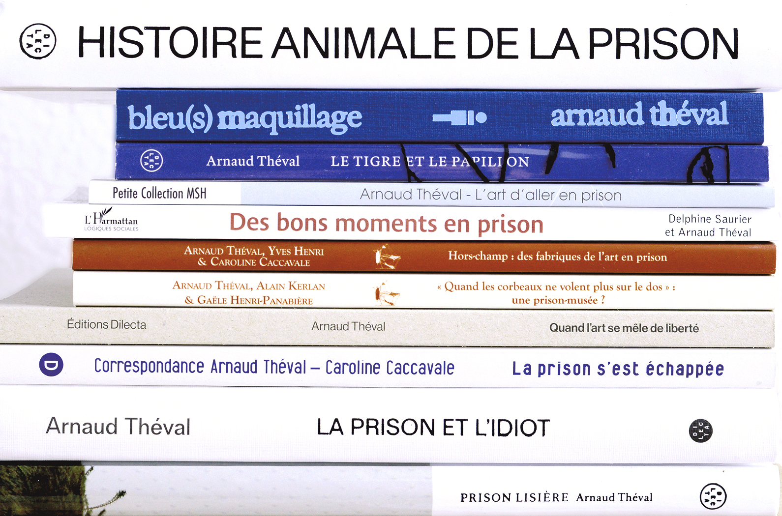 Arnaud Théval publications