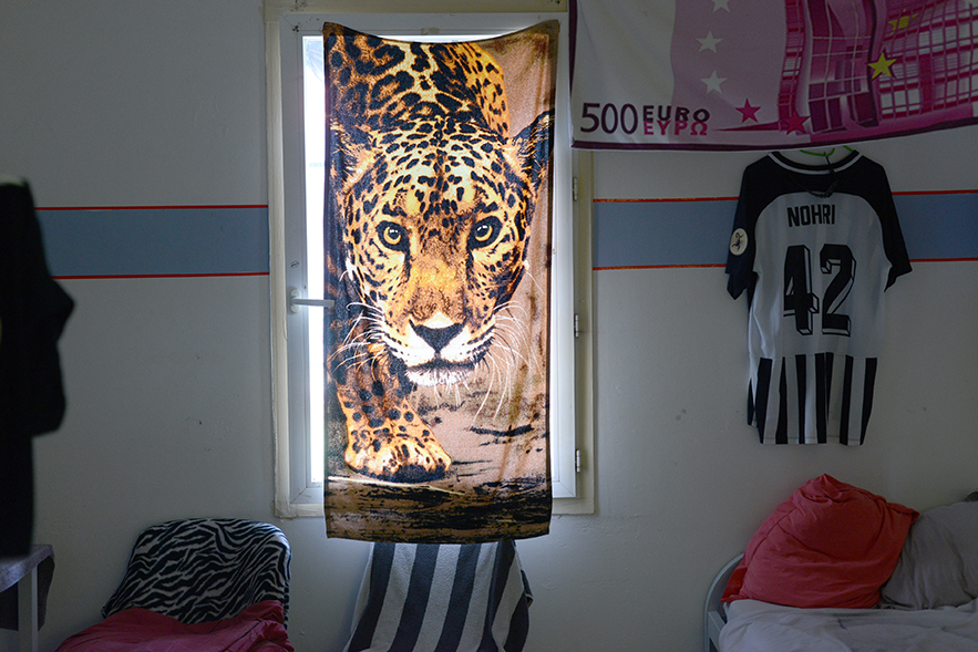 Arnaud Théval "Histoire animale de la prison" (2021-2025)