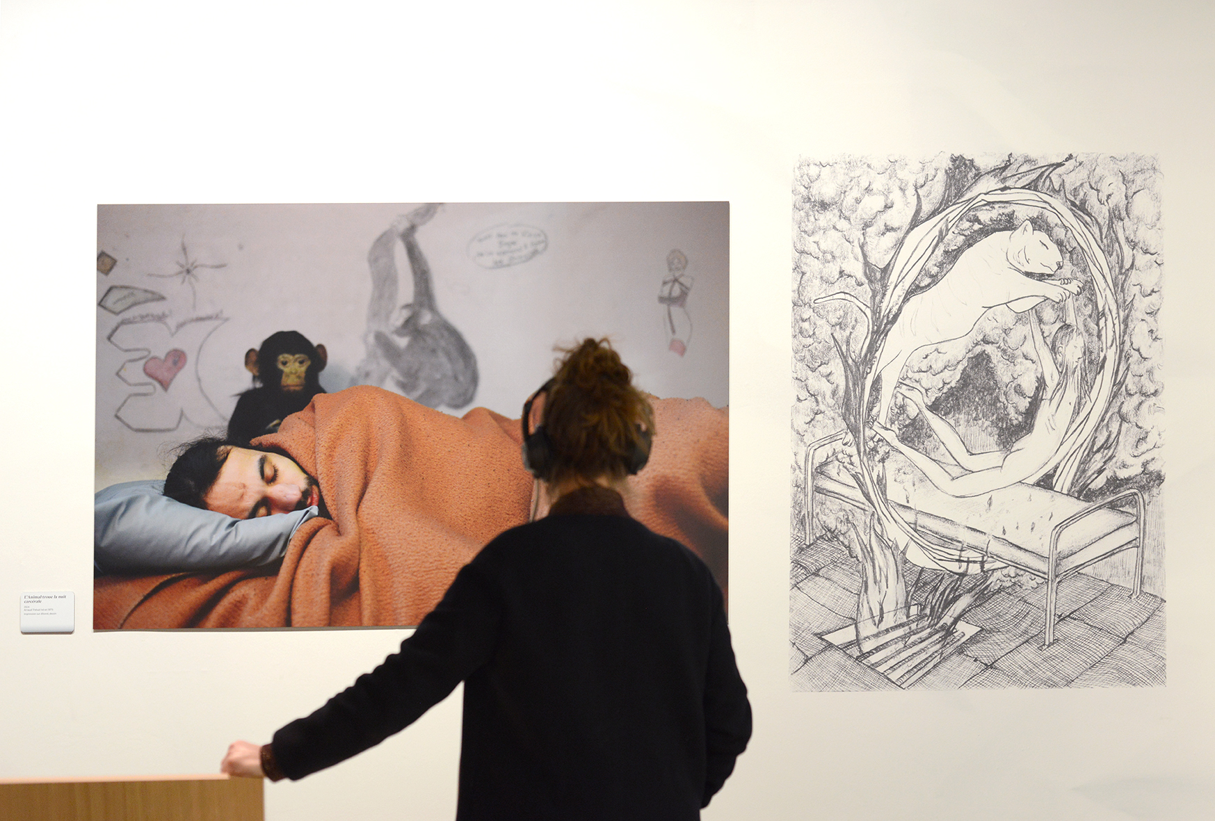 Arnaud Théval "L’animal troue la nuit carcérale"