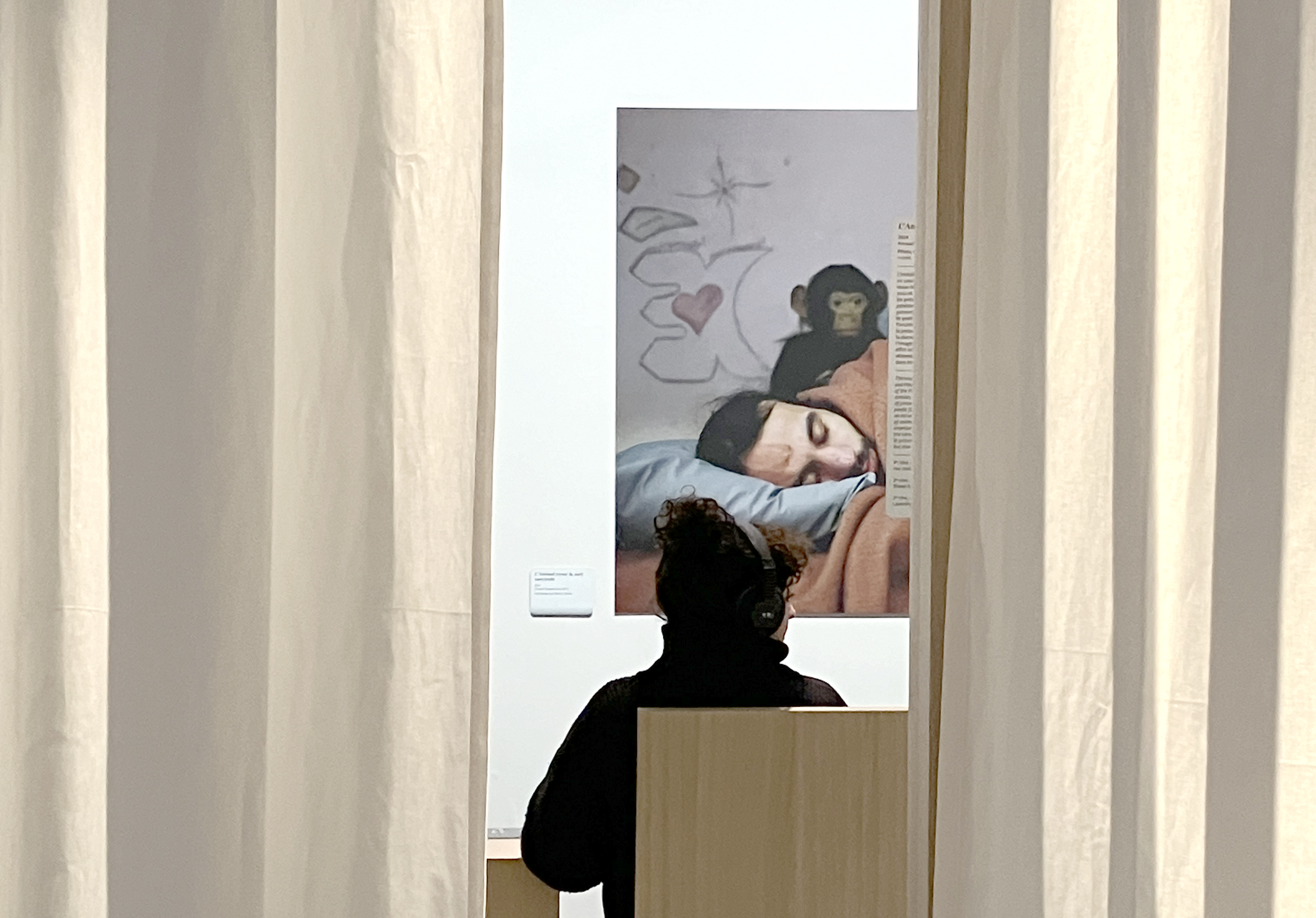 Arnaud Théval &quot;L’animal troue la nuit carcérale&quot; Tirage photo format 118 x 166 cm, dessin 92 x 130 cm (reproduction d'un original format 15 x 21 cm) et trois pièces sonores réalisées avec Pauline Boyer.