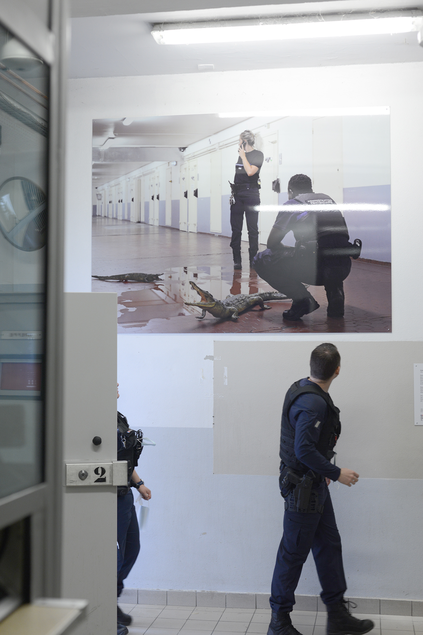 Arnaud Théval &quot;Histoire animale de la prison&quot; (2023) maison d’arrêt de La Talaudière (Saint-Étienne)