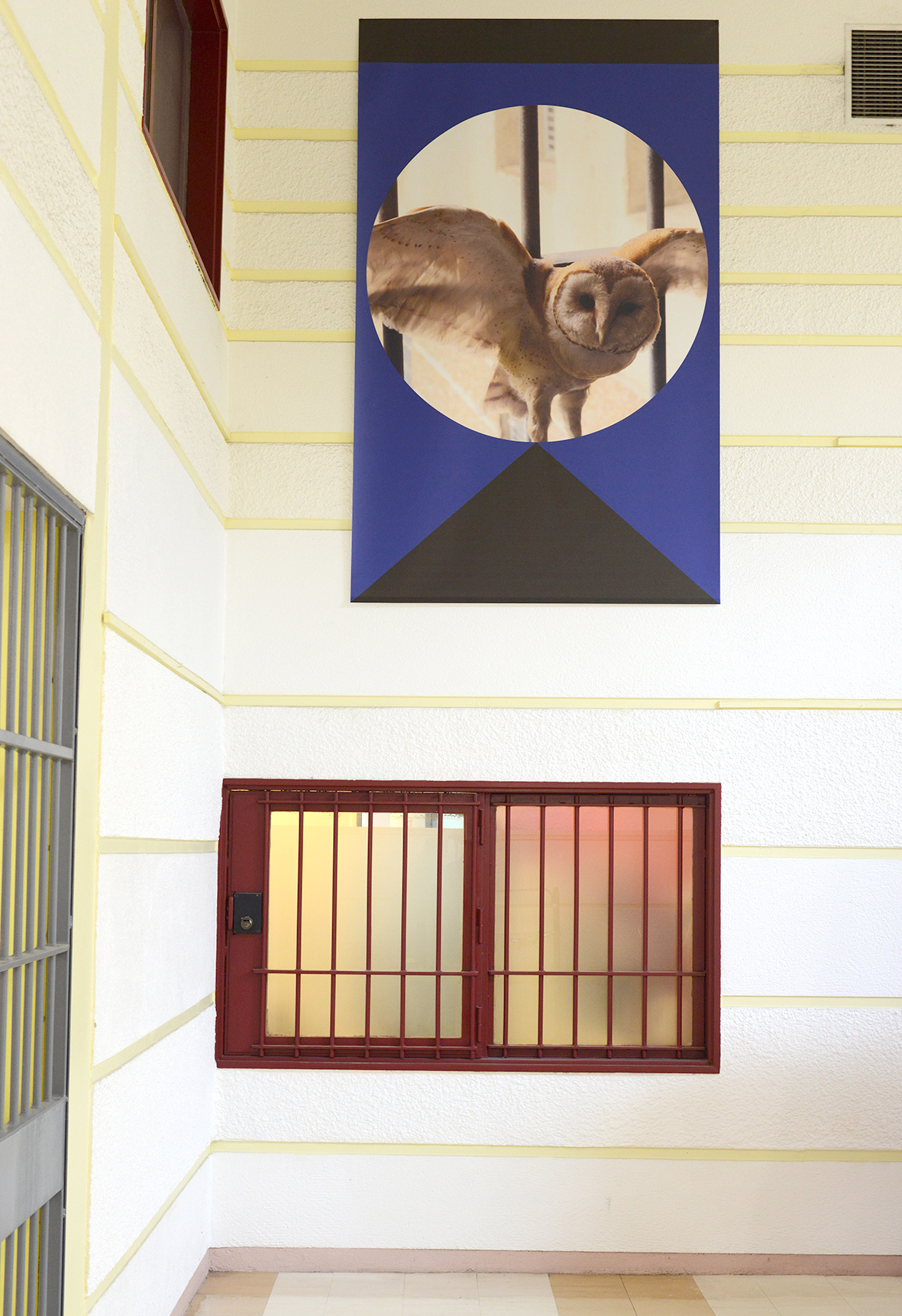 Arnaud Théval &quot;Histoire animale de la prison&quot; (2024) centre pénitentiaire de Villefranche-sur-Saône. Six tirages sur bâche, format 160 cm x 260 cm.