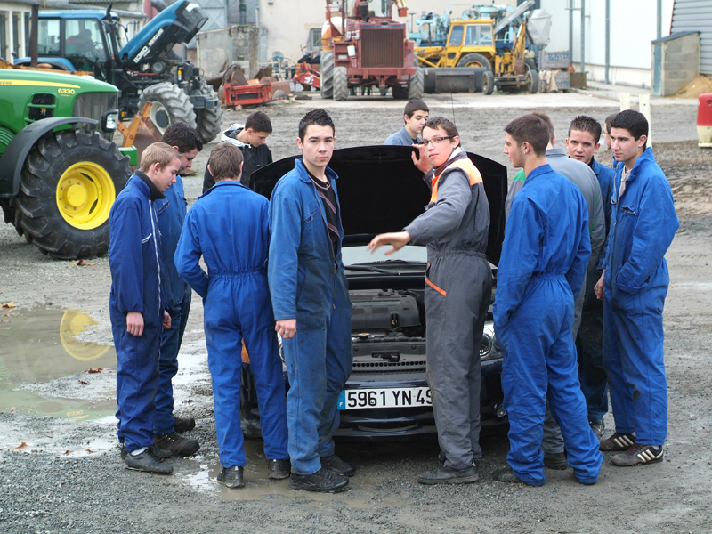 Moi le groupe, les aimants (2009) format 467 x 655 cm, avec les apprentis de seconde Parc et Jardins du CFA Narcé à Brain-sur-l'Authion.
