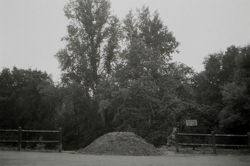 Sous le soleil, tas de terre (2002), format variable.